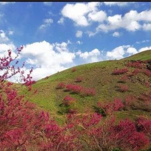 Meet your Posher, Dokhy